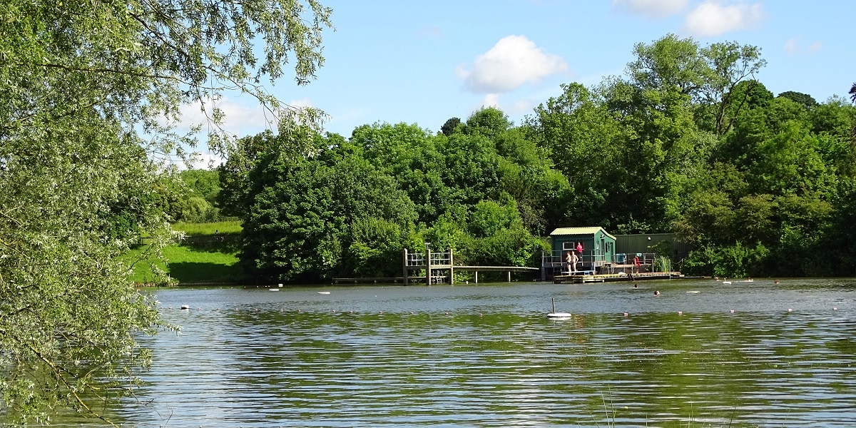 Hampstead Ponds are a popular option for swimmers in north London