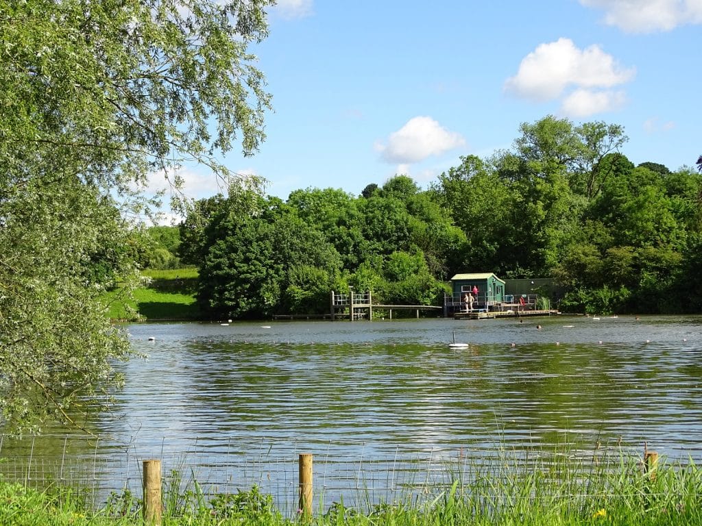 Swim in Hampstead ponds
