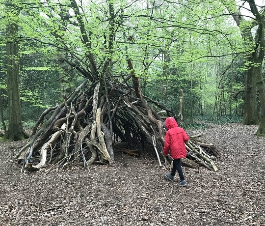Building a den in Highgate Woods